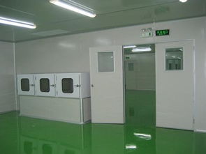 無(wú)塵車間凈化工程設(shè)計(jì)服務(wù)的核心優(yōu)勢(shì)與潛在挑戰(zhàn)